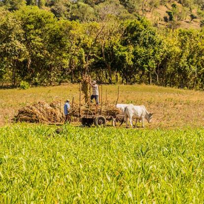 Séjour Au Nicaragua - Lâcher-Prise