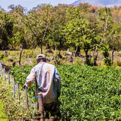 Séjour Au Nicaragua - Lâcher-Prise