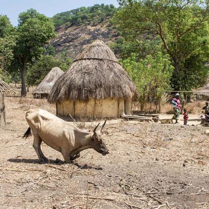 Voyage en Guinée - Aventure en Guinée Forestière