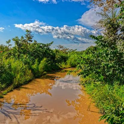 Voyage en Guinée - Aventure en Guinée Forestière