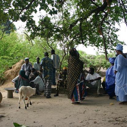 Circuit en Guinée - Aventure en Guinée Forestière