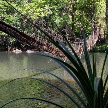 Circuit en Guinée - Aventure en Guinée Forestière