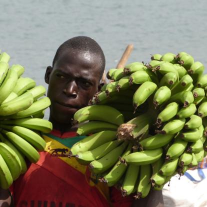 Combiné Guinée, Gambie et Sénégal