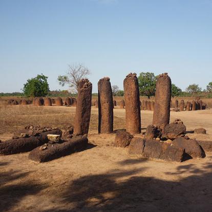 Combiné Guinée, Gambie et Sénégal