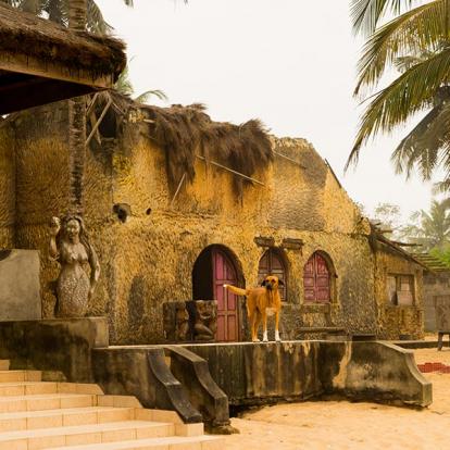 Voyage en Guinée et Côte d'Ivoire - De Conakry à Abidjan