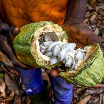 Voyage en Guinée et Côte d'Ivoire - De Conakry à Abidjan