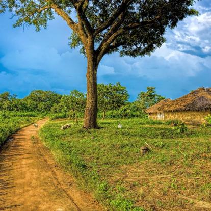 Voyage en Guinée et Côte d'Ivoire - De Conakry à Abidjan