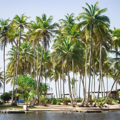 Circuit en Guinée et Côte d'Ivoire - De Conakry à Abidjan