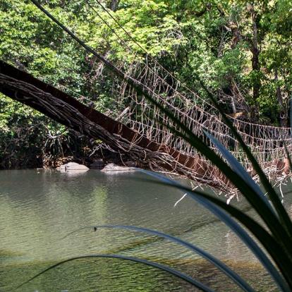 Voyage en Guinée et Côte d'Ivoire - De Conakry à Abidjan