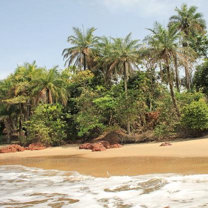 Circuit en Guinée - Rencontres et Solidarité en pays Soussou