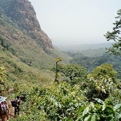 Voyage en Guinée - Rencontres et Solidarité en pays Soussou