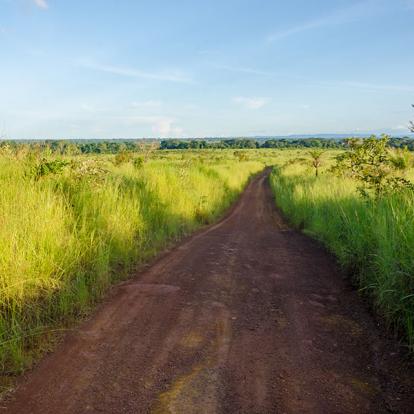 Circuit au Gabon - La Route Ivindo