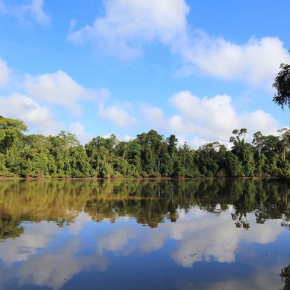 Circuit à Bornéo - A la découverte de la Nature Sauvage