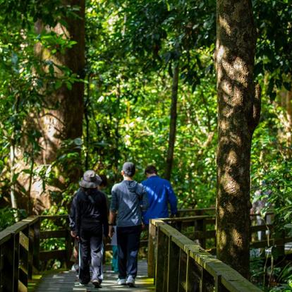 Circuit à Bornéo - A la découverte de la Nature Sauvage