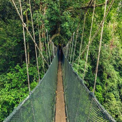 Voyage à Bornéo - A la découverte de la Nature Sauvage