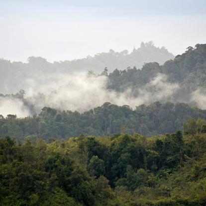 Circuit à Bornéo - A la découverte de la Nature Sauvage