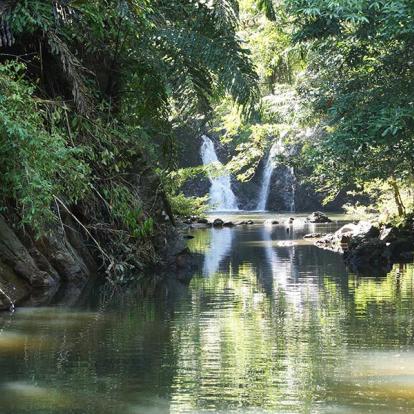 Circuit à Bornéo - A la découverte de la Nature Sauvage