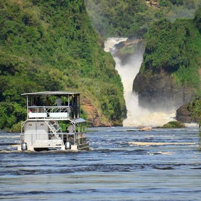 Voyage en Ouganda - Safaris et Gorilles