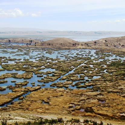 Voyage en Bolivie - Aventure Moxos