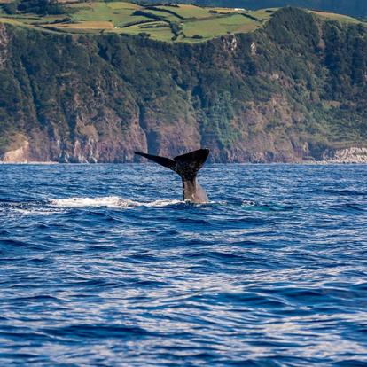 Voyage aux Açores - Les trésors de l’île São Miguel en privé