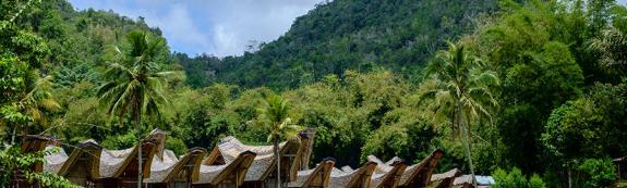 Pays Toraja (Sulawesi)